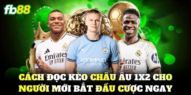Cách đọc Kèo Châu Âu 1x2 cho người mới bắt đầu cược ngay