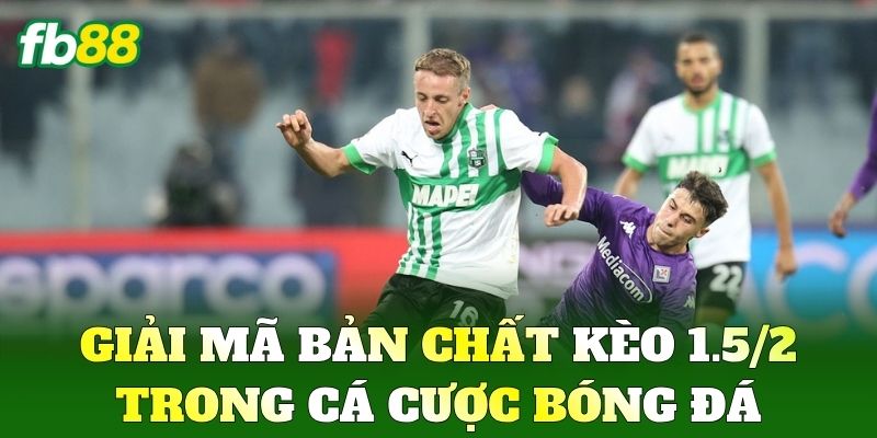 Giải mã bản chất Kèo 1.5/2 trong cá cược bóng đá