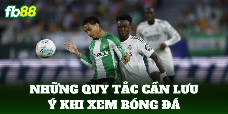 Những quy tắc cần lưu ý khi xem bóng đá