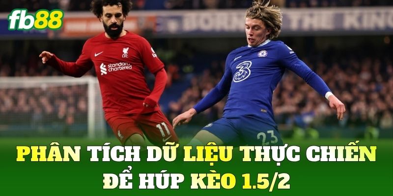 Phân tích dữ liệu thực chiến để húp Kèo 1.5/2