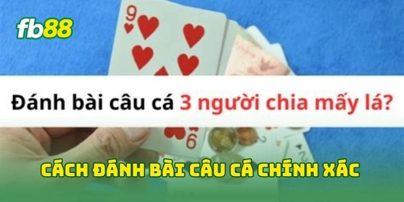 Cách đánh bài câu cá chính xác