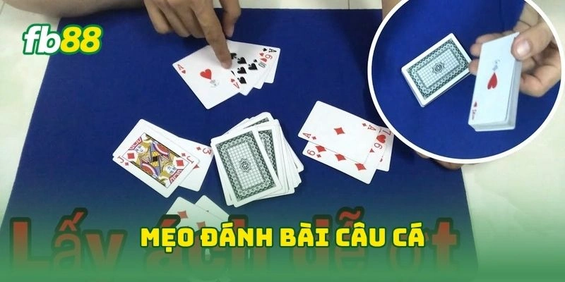 Mẹo đánh bài câu cá