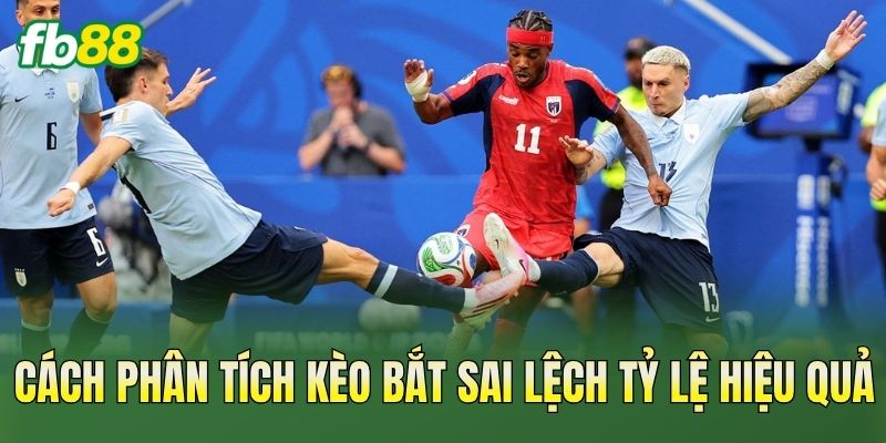 Cách phân tích kèo bắt sai lệch tỷ lệ hiệu quả
