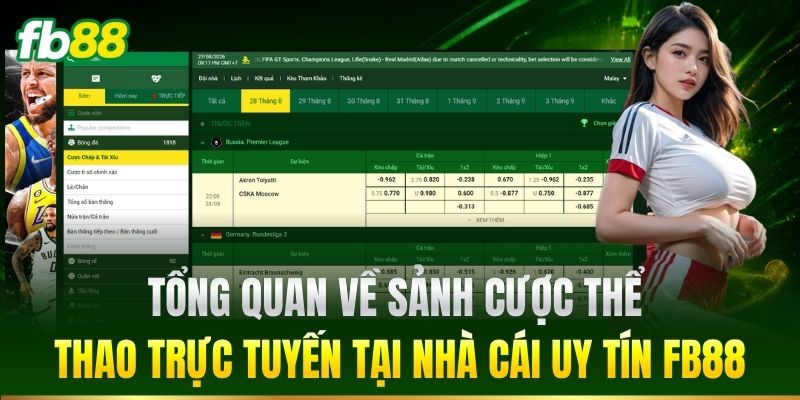 Tổng quan về hệ thống thể thao trực tuyến