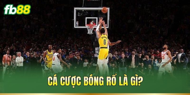 Cá cược bóng rổ là gì?