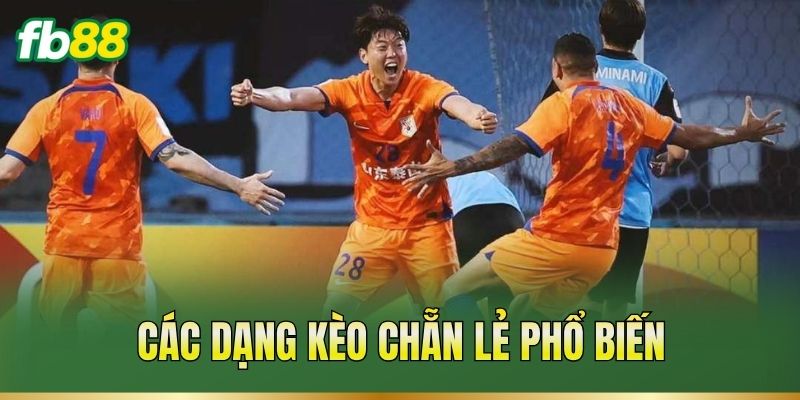 Các dạng kèo chẵn lẻ phổ biến
