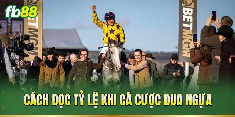 Cách đọc tỷ lệ khi cá cược đua ngựa