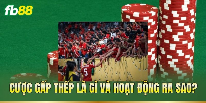 Cược gấp thếp là gì và hoạt động ra sao?