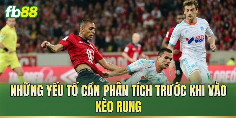 Những yếu tố cần phân tích trước khi vào kèo rung